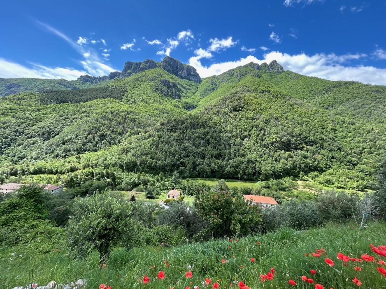 Colletta Castelletto With Mountain View 아파트 외부 사진